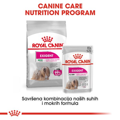 ROYAL CANIN CCN Mini Exigent, potpuna hrana za pse - Za odrasle i starije pse malih pasmina (od 1 do 10 kg) - Stariji od 10 mjeseci - Mali izbirljivi psi, 3 kg slika 2