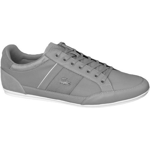 Muške tenisice Lacoste chaymon 116 spm00802g2  slika 1