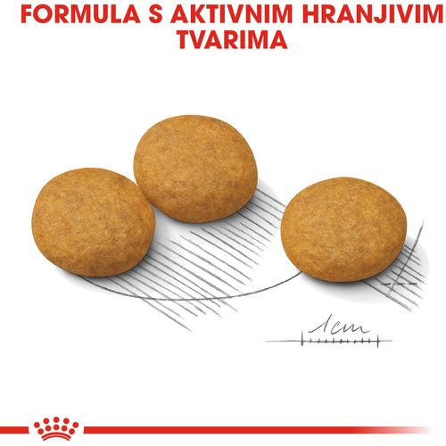 ROYAL CANIN CCN Dermacomfort Medium, potpuna hrana za pse - Za odrasle i starije pse srednje velikih pasmina (od 11 do 25 kg) - Stariji od 12 mjeseci - Psi skloni iritaciji kože i češanju, 3 kg slika 9