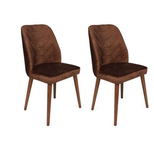 Woody Fashion Set stolica (2 komada), Dallas-556 V2 slika 1