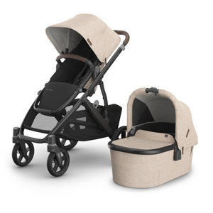 UPPAbaby dječja kolica Vista V3 2u1, Liam