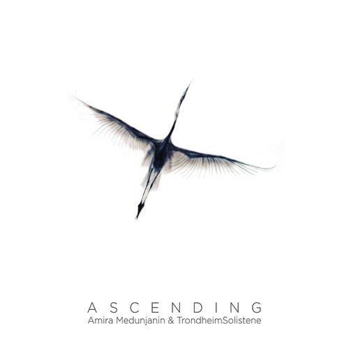 Amira Medunjanin & Trondheimsolistene - Ascending slika 1