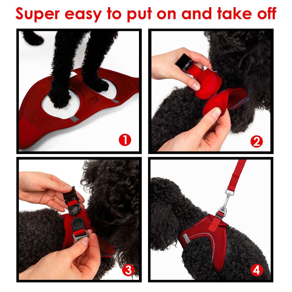 Dog harness Air-Mesh, colour: red slika 12