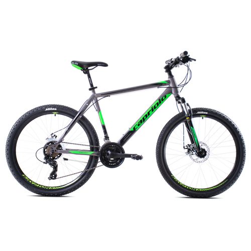 CAPRIOLO bicikl MTB OXYGEN 26"/21HT srebrno-zelena slika 2