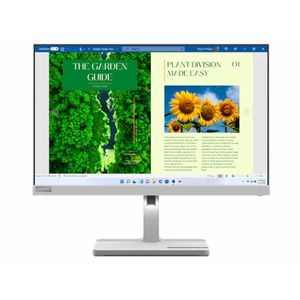 Lenovo L24m-40 Monitor 23.8"