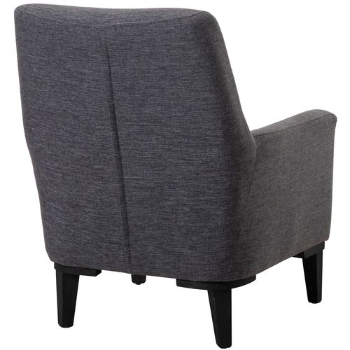 Liones-S - Anthracite Anthracite Wing Chair slika 5