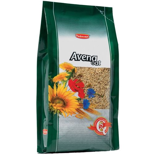 Padovan Zob Avena za ptice, 1 kg slika 1