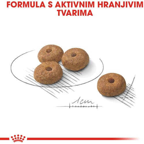 ROYAL CANIN CCN Mini Sterilised, potpuna hrana za pse - Za kastrirane/sterilizirane odrasle pse malih pasmina (od 1 do 10 kg) - Stariji od 10 mjeseci - Psi skloni prekomjernoj tjelesnoj težini, 3 kg slika 9