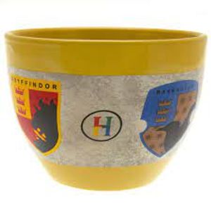 PYRAMID HARRY POTTER (HOUSES) HUGGY MUG