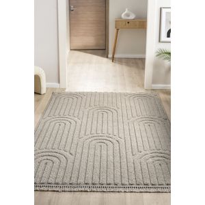 Janerio - Beige Beige Carpet (120 x 170)
