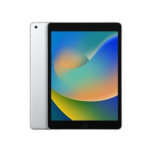 Apple iPad 9th Gen 10.2 inch A13 WiFi 256GB Silver (fk2p3ll/a)