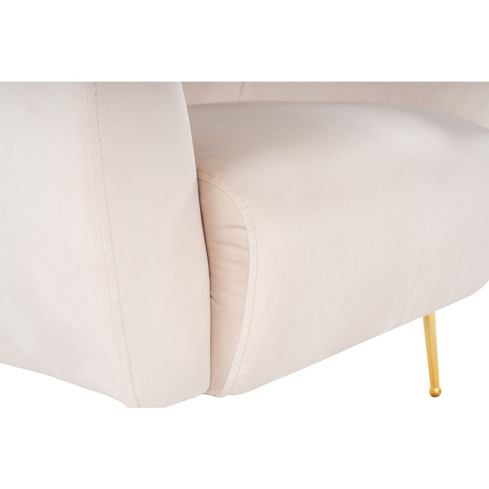 Eses Beige - Wing Beige Naslonjač slika 11