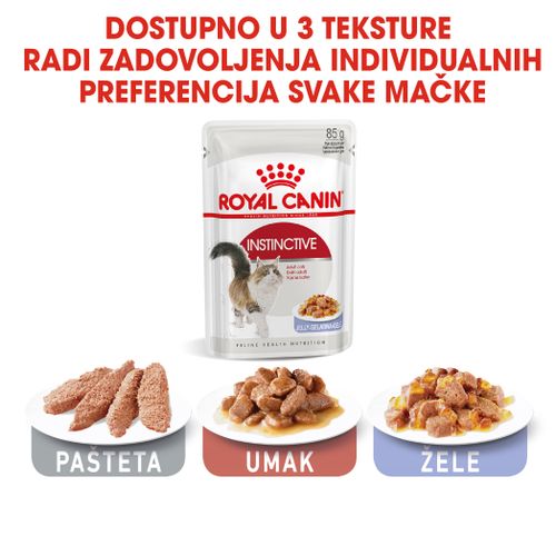 ROYAL CANIN FHN Instinctive Jelly, potpuna hrana u vrećici za  odrasle mačke, u želeu, 12x85 g slika 3