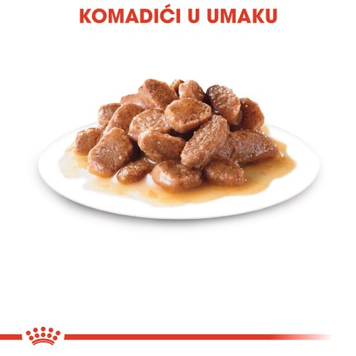 ROYAL CANIN FHN Ageing 12+ Gravy, potpuna hrana u vrećici za  odrasle mačke starije od 12 godina, komadići u umaku, 12x85 g slika 8