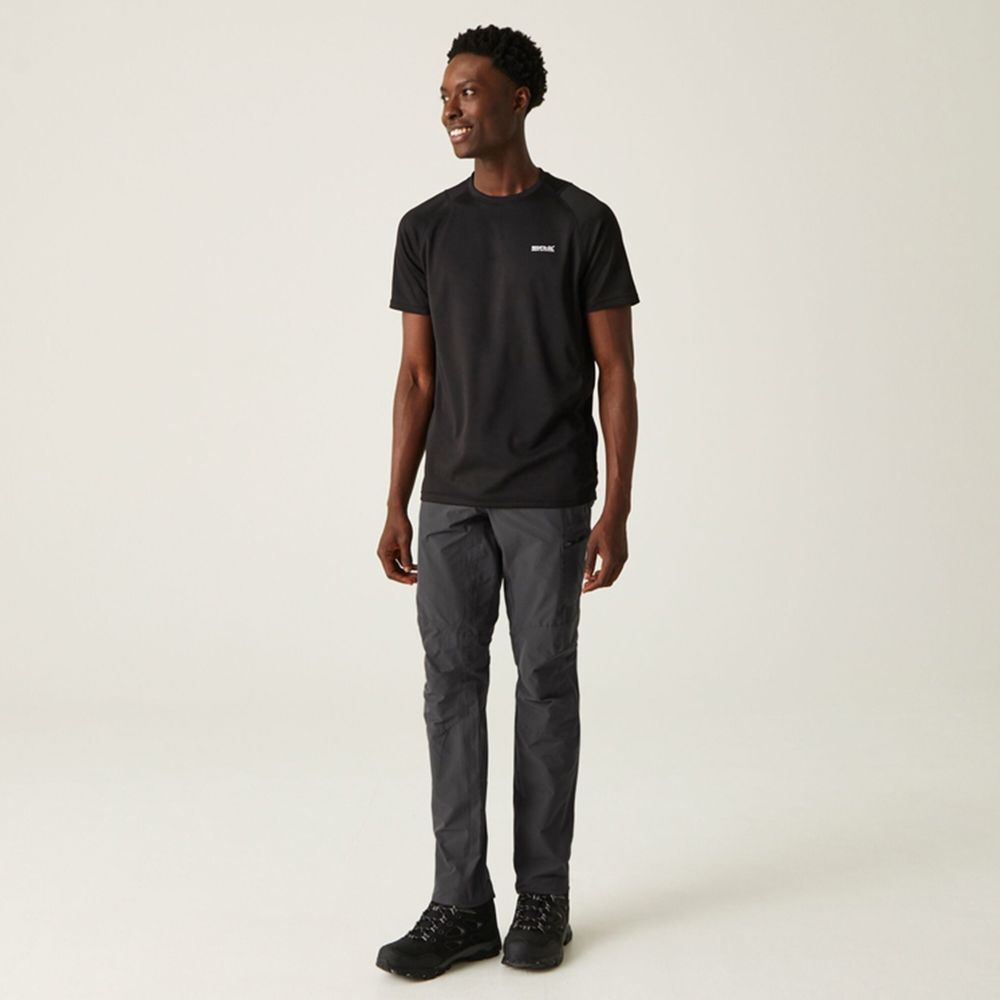 Regatta Muške hlače Highton Trousers Seal Grey slika 3