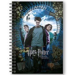 Harry Potter i zatočenik iz Azkabana A5 3D bilježnica