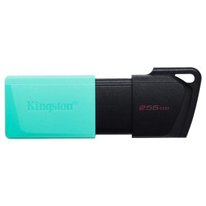 Kingston Flash memorija 256GB