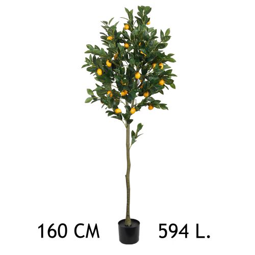 Lilium dekorativno stablo limuna  160cm 567307 slika 1