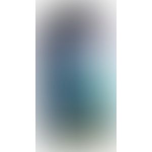Dildo Beasty Cocks Octopus Fantasy