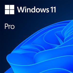 Windows 11 Professional 64Bit - Engleska verzija, 1 pakiranje DSP OEI DVD