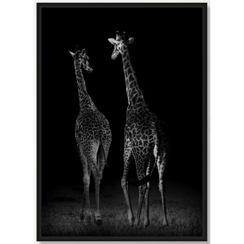 SLIKA 27x37 sa ramom - 31020 - Giraffe slika 1