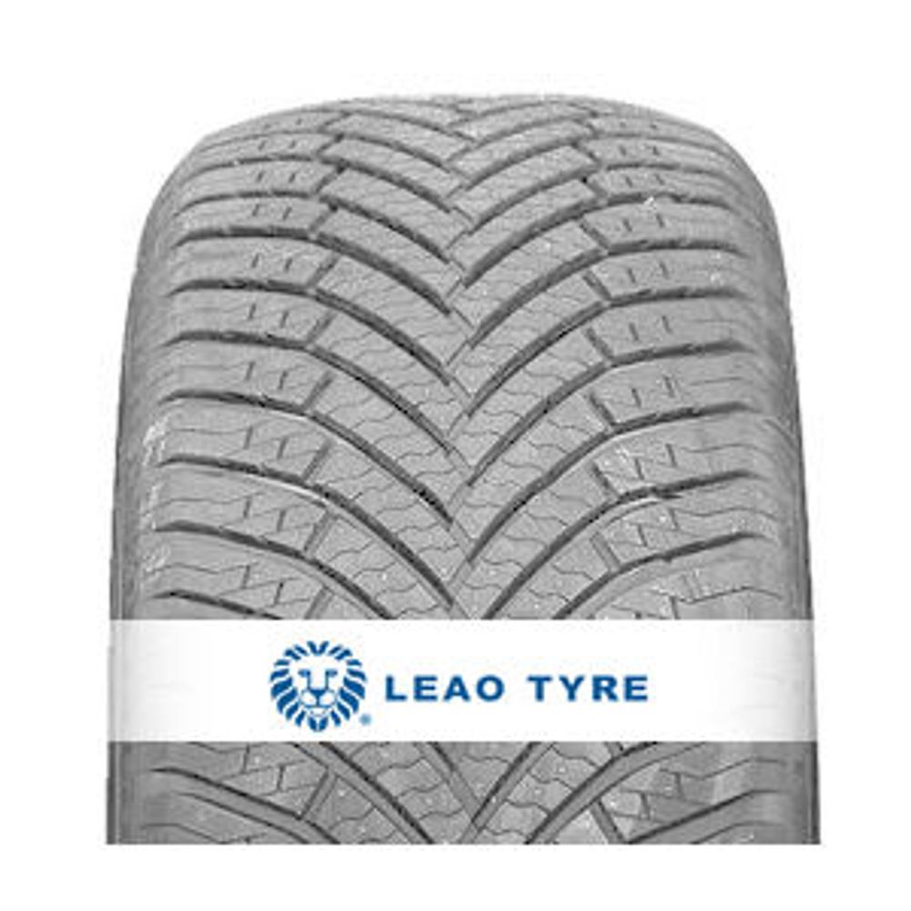 Leao Cjelogodišnje gume 205/55R16 Igreen All Season 91V La slika 1