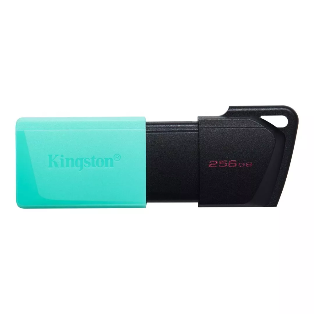 Kingston FD 256GBUSB3.2 DataTraveler Exodia M slika 1