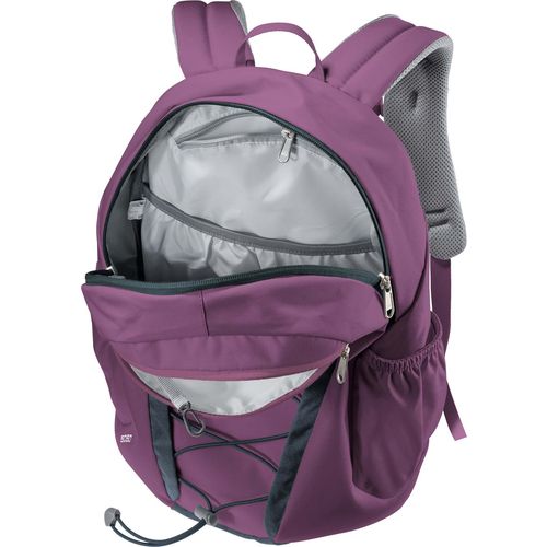 Deuter Ruksak Gogo, dimenzije 46x27x19, volumen 25 L slika 7