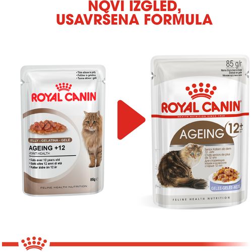 ROYAL CANIN FHN Ageing 12+ Jelly, potpuna hrana u vrećici za  odrasle mačke starije od 12 godina, komadići u želeu, 12x85 g slika 2