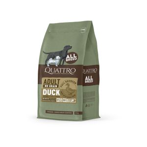 QD Adult NO GRAIN Patka 3kg