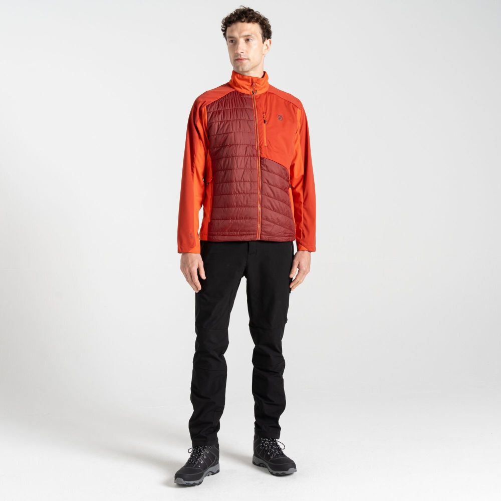 Dare2B Muška jakna Mountaineer Hybrid, Tuscan Red/Syrah Red slika 6
