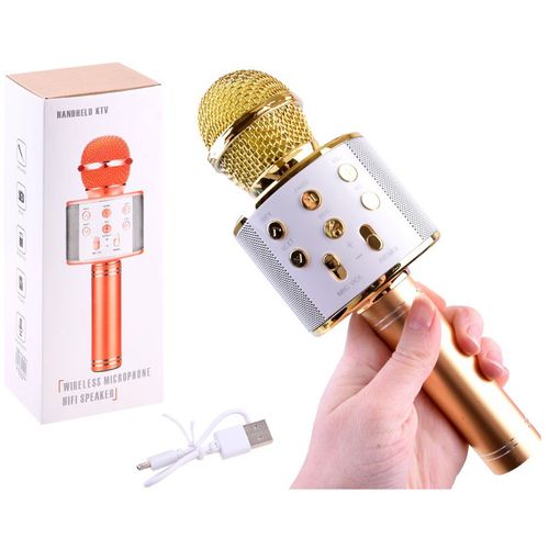 Mikrofon USB - Zlatni slika 1