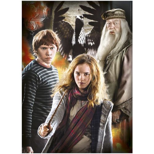 Harry Potter Characters pack 3 puzzles 3x1000pzs slika 2