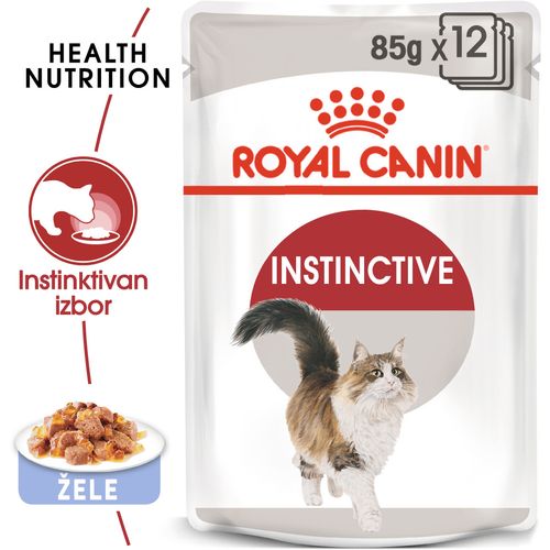 ROYAL CANIN FHN Instinctive Jelly, potpuna hrana u vrećici za  odrasle mačke, u želeu, 12x85 g slika 6