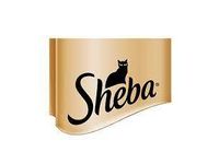 Sheba