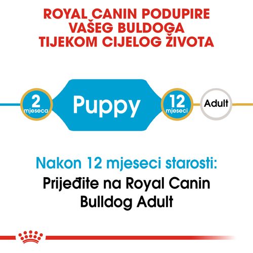 ROYAL CANIN BHN Bulldog Puppy, potpuna hrana specijalno prilagođena potrebama buldoga tijekom rasta (do12 mj.), 3 kg slika 8