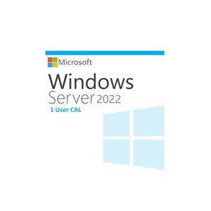 Microsoft Windows Server 2022, 1 User CAL, ESD, legalna licenca