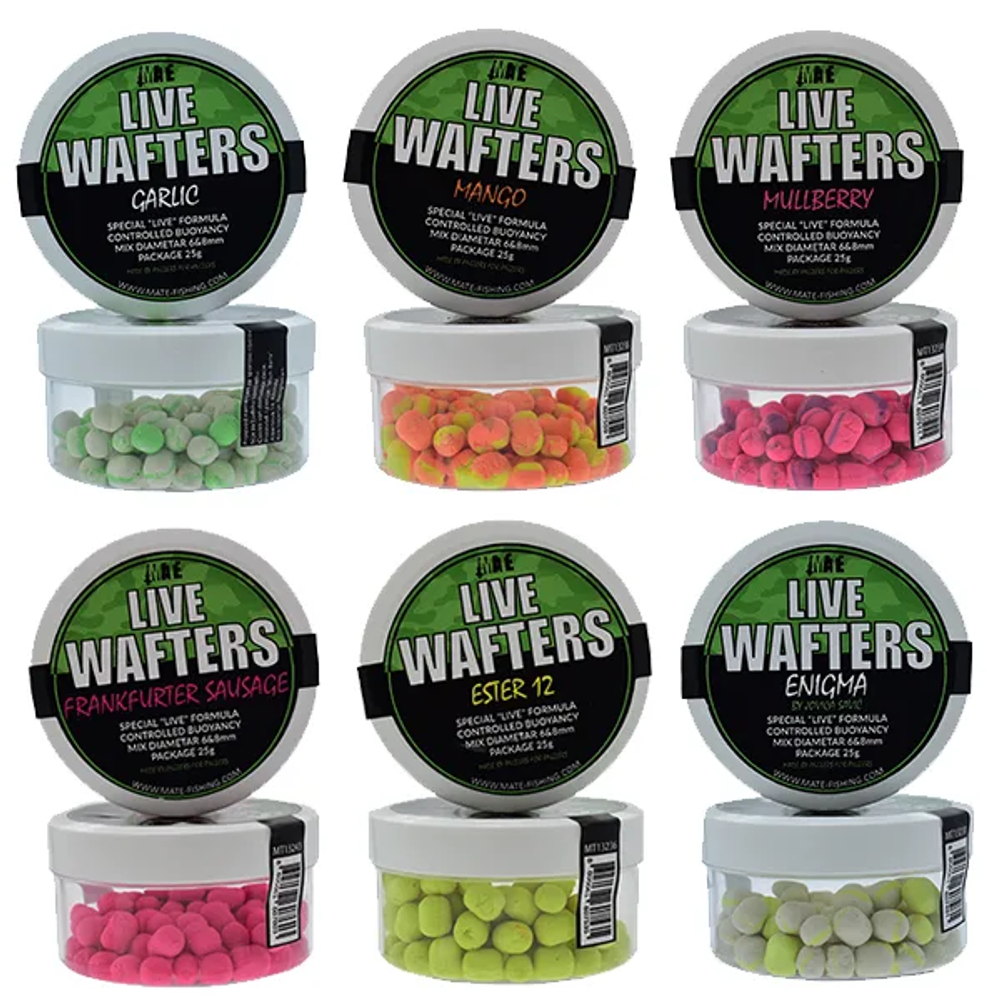Mate Live Wafters Ester 12 (MT13236) slika 3