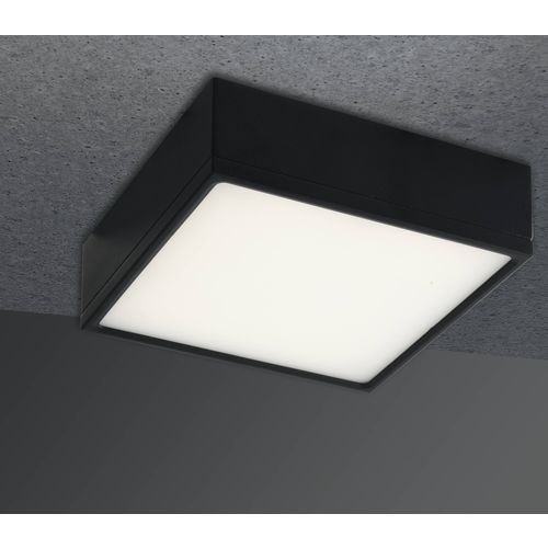 ECO-Light LED-KLIO-Q11 NER LED-KLIO-Q11 NER stropna svjetiljka LED   16 W crna slika 1
