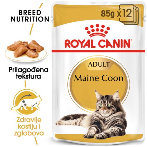 ROYAL CANIN FBN Maine Coon, potpuna i uravnotežena mokra hrana u umaku za mačke, specijalno za odrasle mačke pasmine Maine Coon starije od 15 mjeseci, 12x85 g slika 5