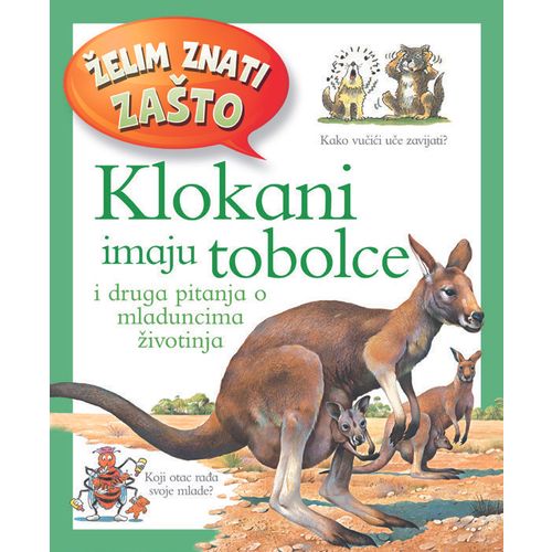 Želim znati zašto Klokani imaju tobolce slika 1