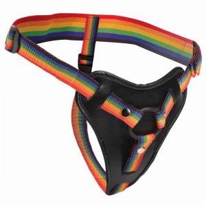 Strap on pojas Take the Rainbow, univerzalni