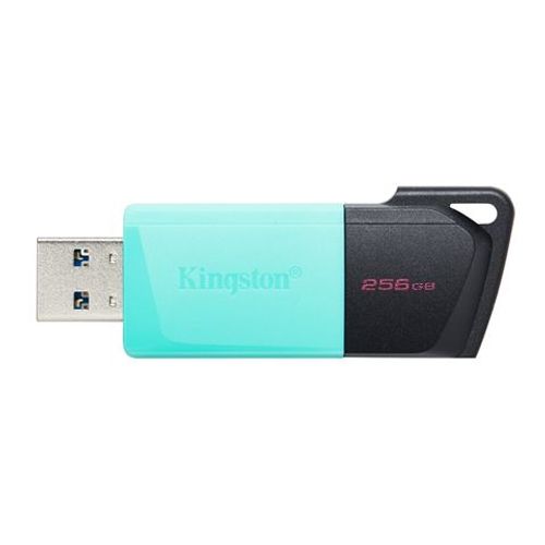 USB FD.256GB KINGSTON DTXM/256GB slika 1