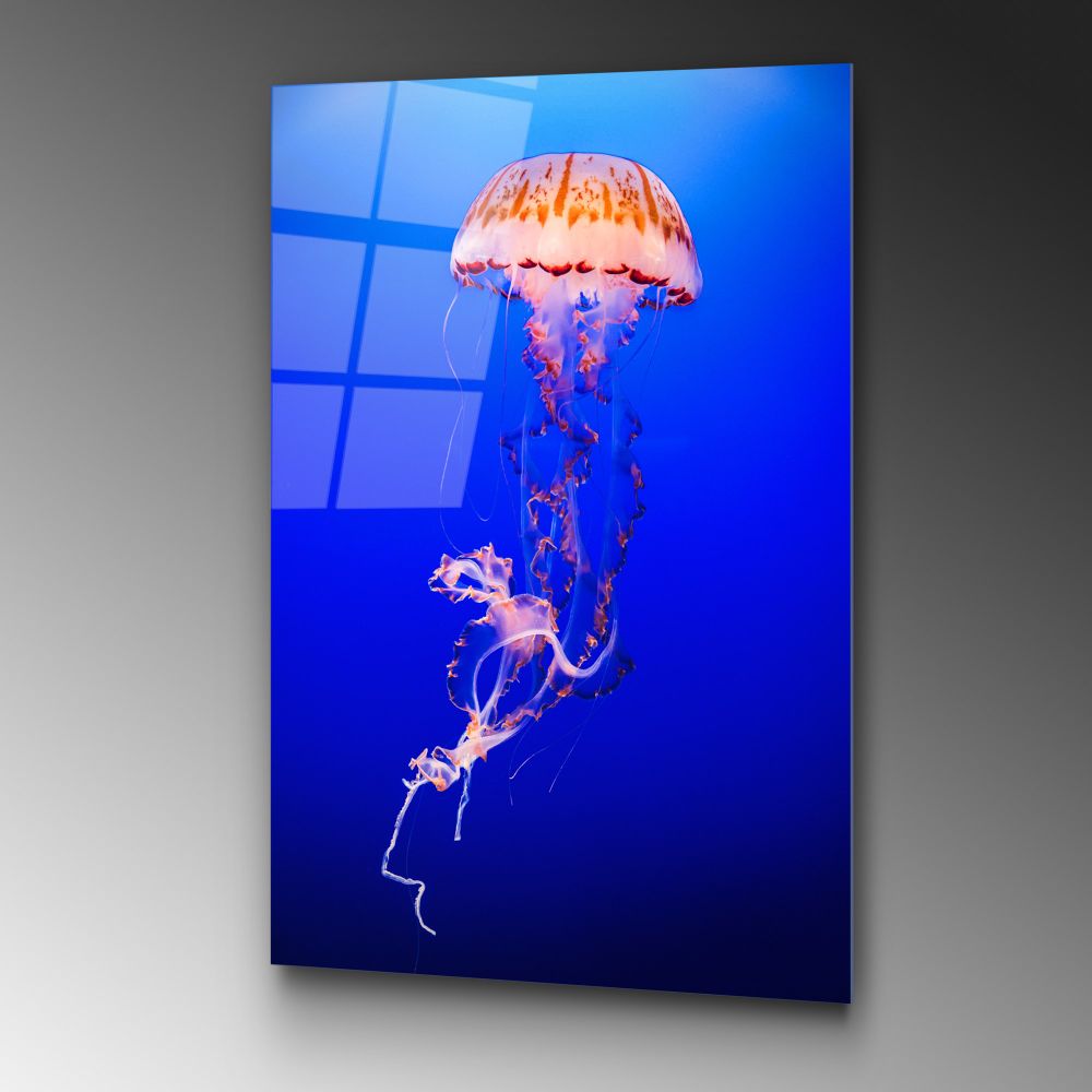 UV-154 Dekorativna Slika na Kaljenom Staklu, 70 x 100 cm, Višebojna slika 4