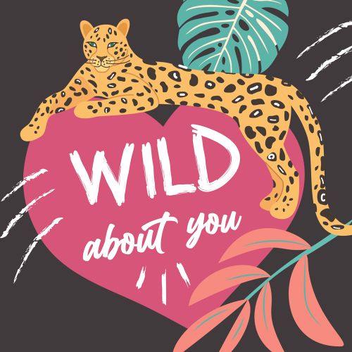 (VK 159) Wild About You slika 1