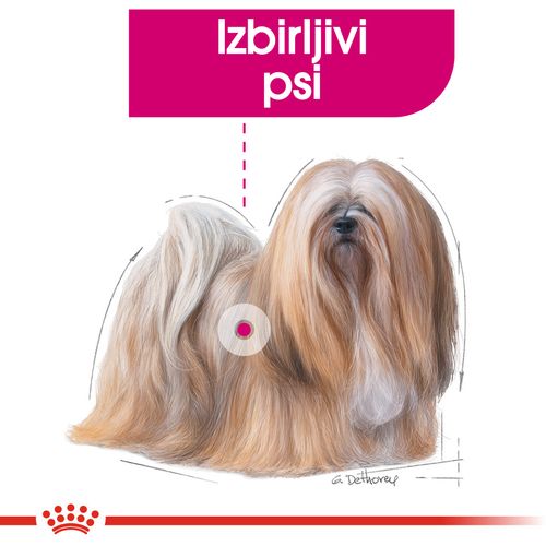 Royal Canin CCN Exigent Loaf, potpuna hrana za odrasle pse, 12x85 g slika 4