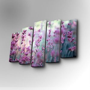 5PUC-053 Multicolor Decorative Canvas Painting (5 Pieces)