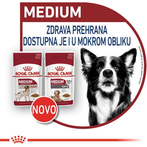 ROYAL CANIN SHN Medium adult vrećice za pse, potpuna hrana za odrasle pse srednje velikih pasmina (od 11 do 25 kg), od 12 mjeseci do 10 godina starosti, 10x140 g slika 3