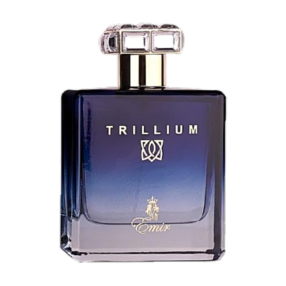 Paris Corner Emir Trillium Eau de Parfum 100ml slika 1
