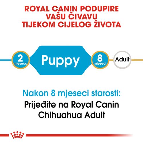 ROYAL CANIN BHN Chihuahua Puppy, potpuna hrana za pse, posebno za štence pasmine čivava, do 8 mjeseci starosti, 500 g slika 8